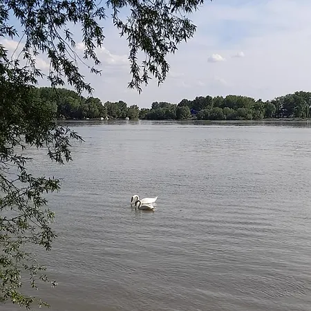 Marina Casa vacanze Kovin