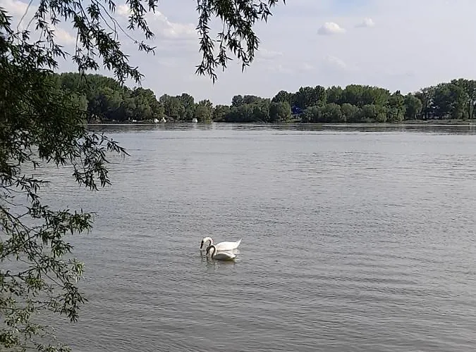 Marina Дом отдыха Kovin